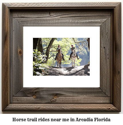 horse trail rides near me in Arcadia, Florida